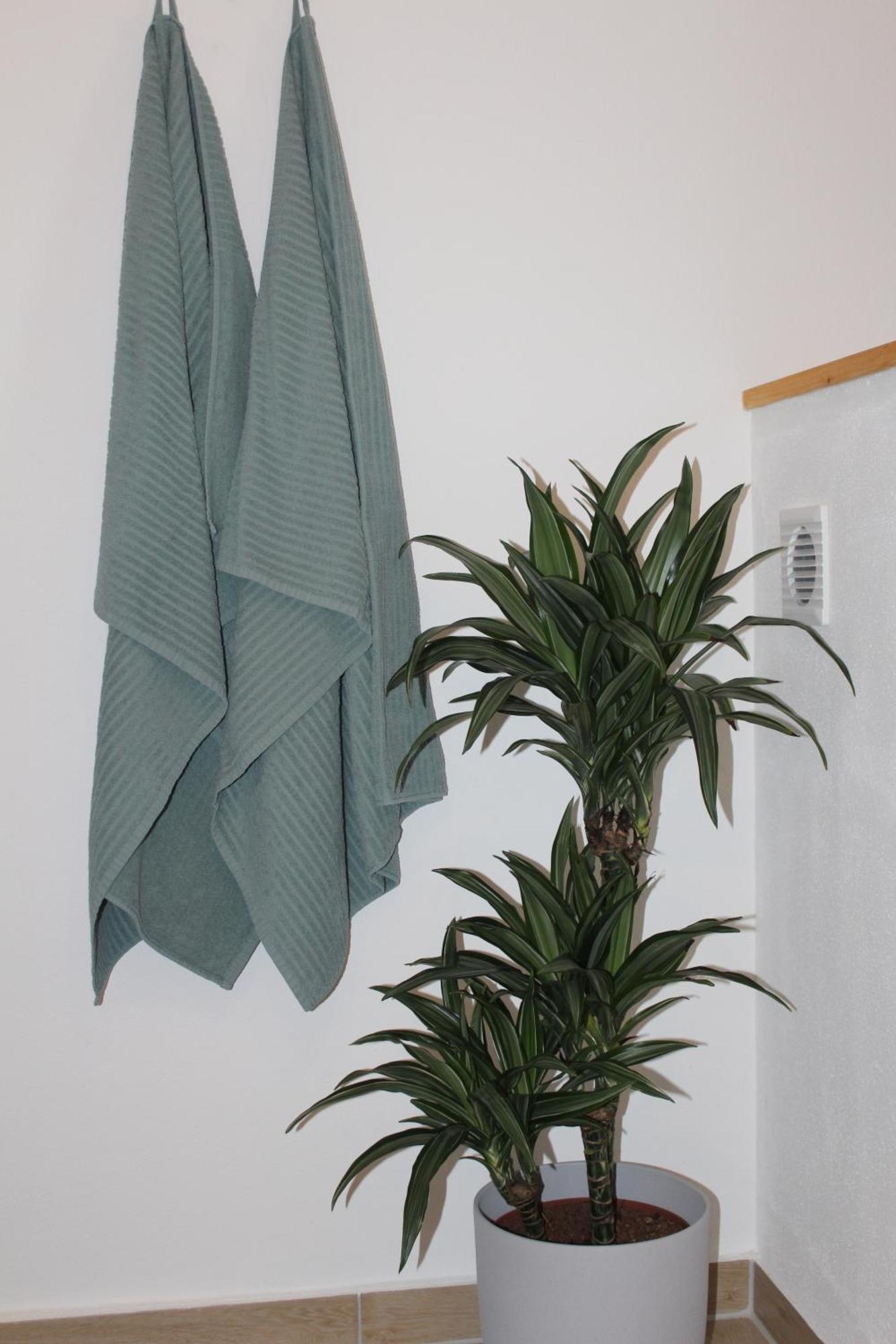Ferienwohnung Feldblick Struppen Εξωτερικό φωτογραφία
